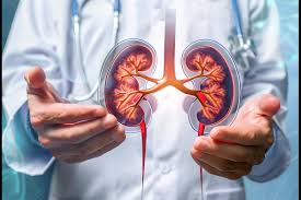 DIAGNOSED KIDNEY DISEASES – Dr. Kamal Gammampila