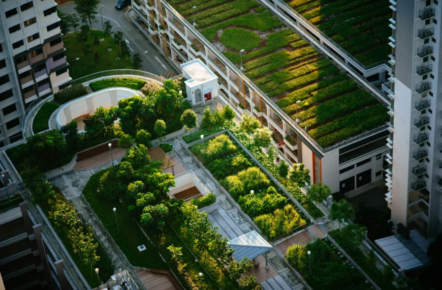 Green Roofs & Urban Greening in Sri Lanka