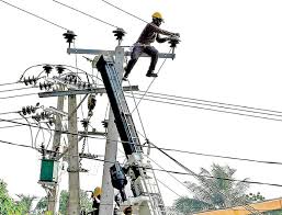 Is Electrical Power System Stability a Monkey business?