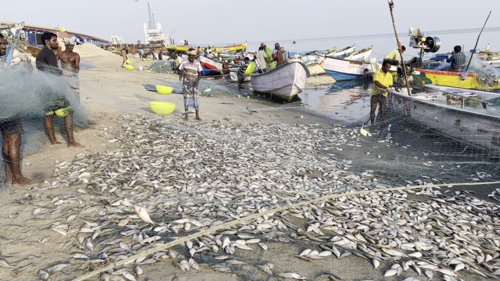 Douglas Warns of Indian Fishermen Entering Palk Straits During Fish Breeding Season in Northern Sea