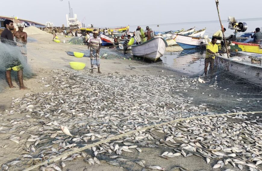 Douglas Warns of Indian Fishermen Entering Palk Straits During Fish Breeding Season in Northern Sea