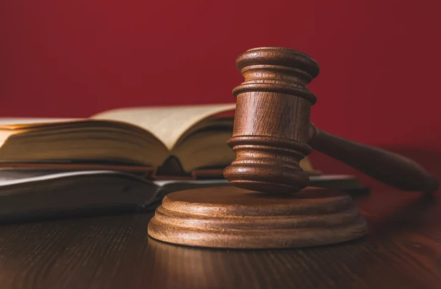 Digitizing the Sri Lankan Judicial System – A 20-year History