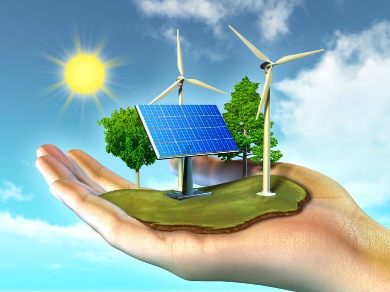 Mannar’s Green Energy Push: When Clean Power Turns into Community Conflict