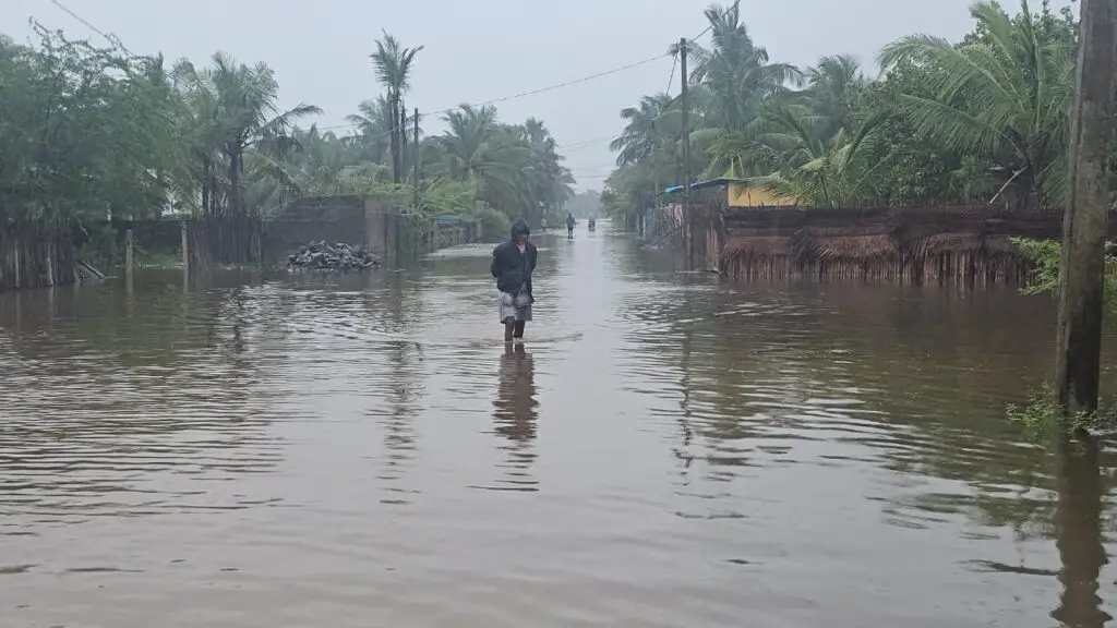 Cyclone Ditwah and the Collapse of the ‘Living Bank’ in Mannar