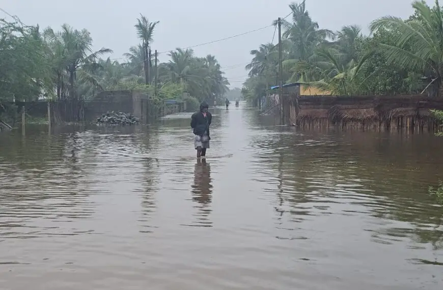 Cyclone Ditwah and the Collapse of the ‘Living Bank’ in Mannar