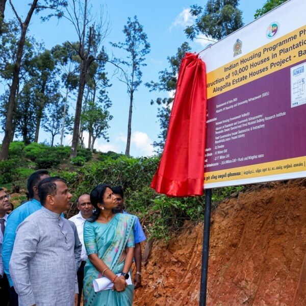 Homes at Last — India’s Gift to the Forgotten Backbone of Ceylon Tea